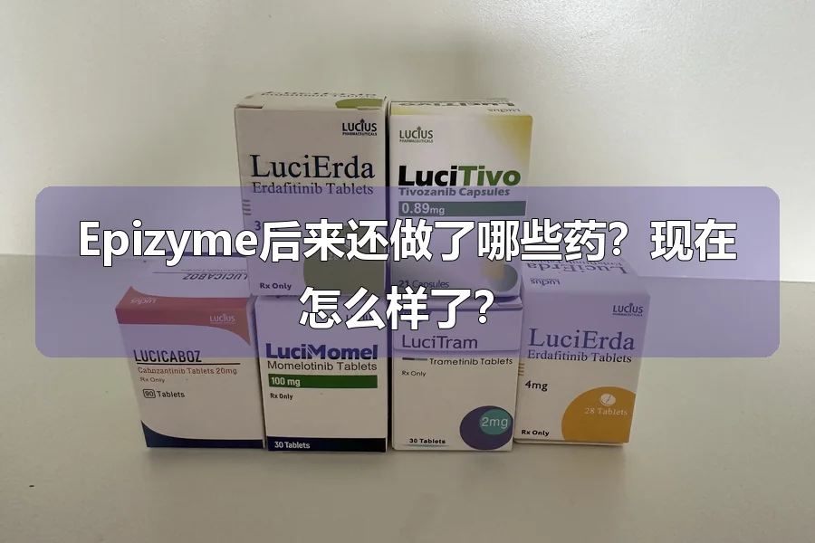 Epizyme后来还做了哪些药？现在怎么样了？